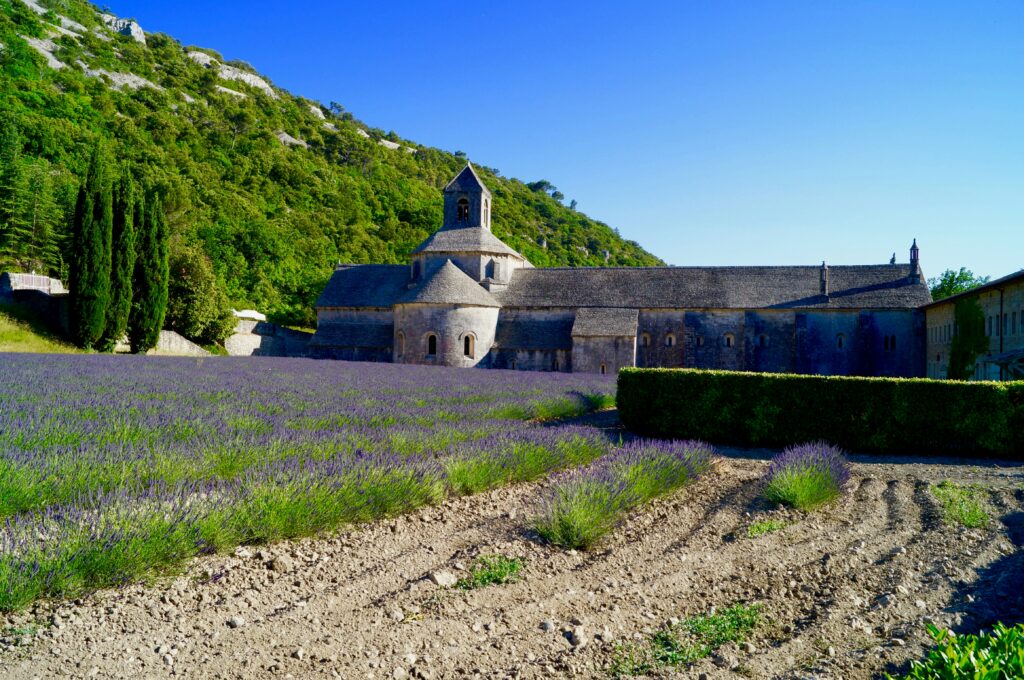 Chateau au milieu des champs de lavande